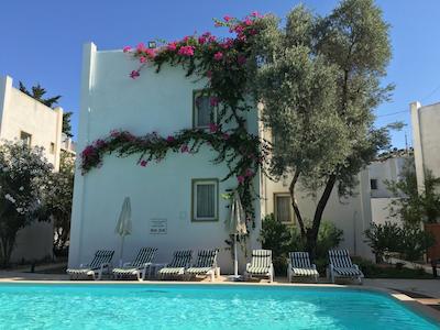 پرینسز دیلتوا