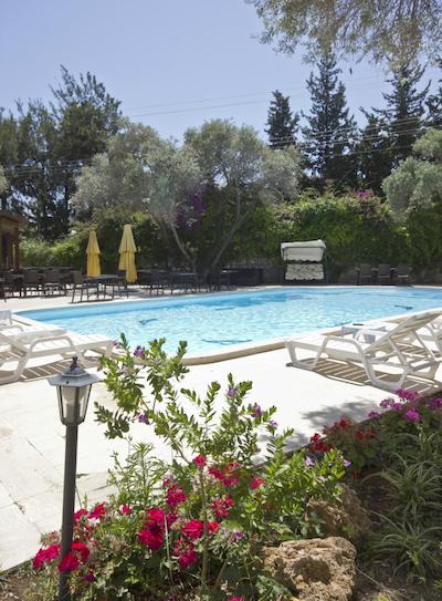 پرینسز دیلتوا