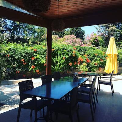 پرینسز دیلتوا