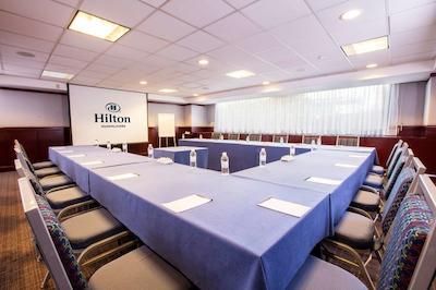 هیلتون گوادالاجارا