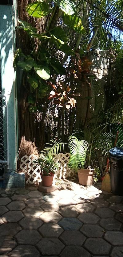 پسادا مارپز