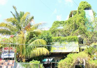 پسادا مارپز