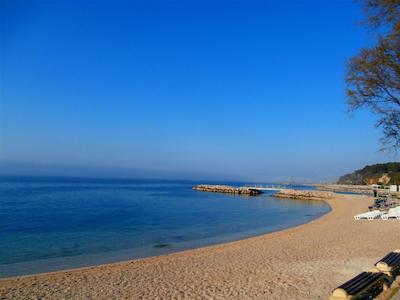 اپارتمنتز کردیز