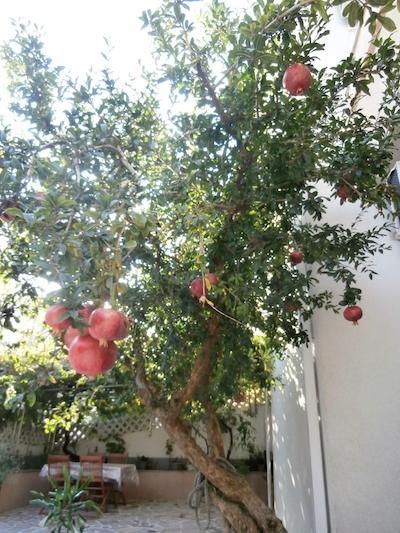 اپارتمنتز کردیز