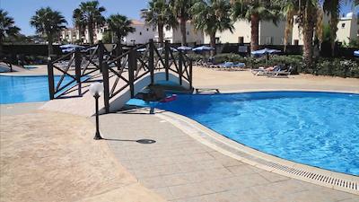 پلیکارپیا هتل