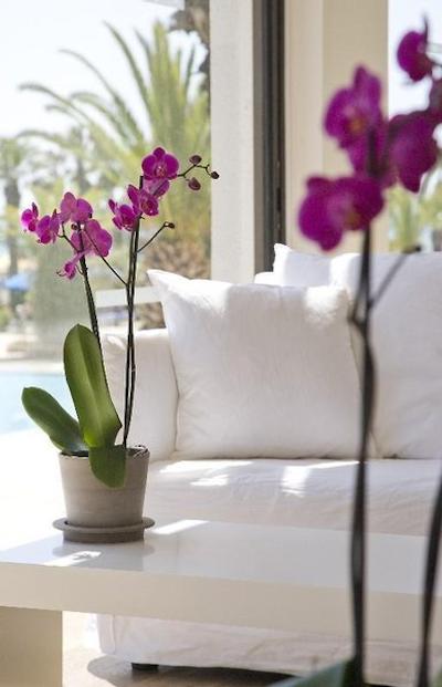 سنتیدو ساندی بیچ