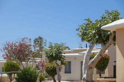 است الیاز ریزرت