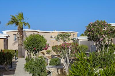 است الیاز ریزرت