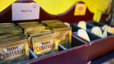 هتل سیتروس سوخومویت 13 بای کامپس هاسپیتالیتی