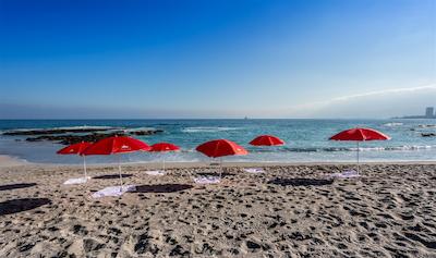 گئوتل انتفاگاستا