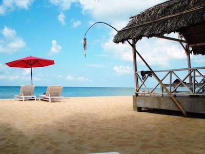 هیپ دانه ریزرت