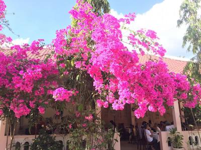 هیپ دانه ریزرت