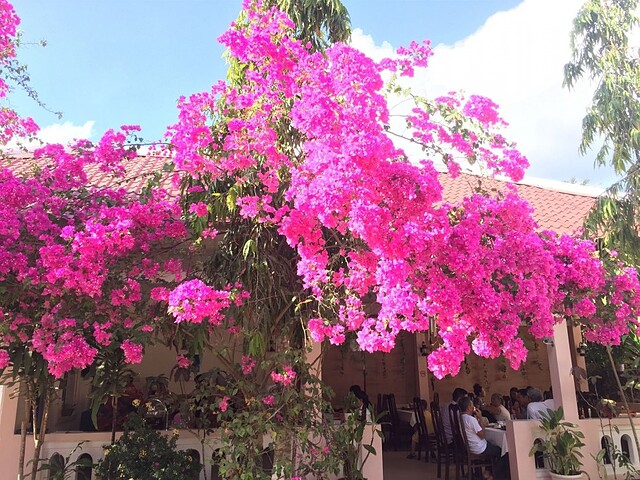 هیپ دانه ریزرت