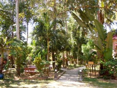 هیپ دانه ریزرت