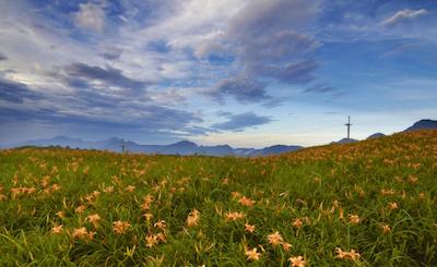 لکینگ تیتونگ ب اند ب