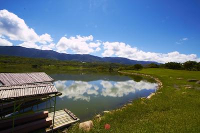 لکینگ تیتونگ ب اند ب