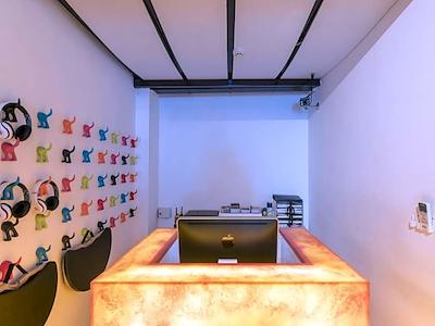 چیک کپسول اوتل