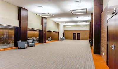 بلو تری پرمیوم آلفاویل