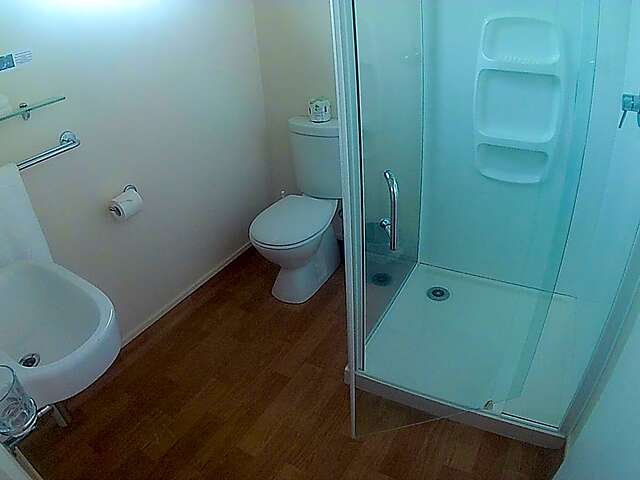 پارنل این