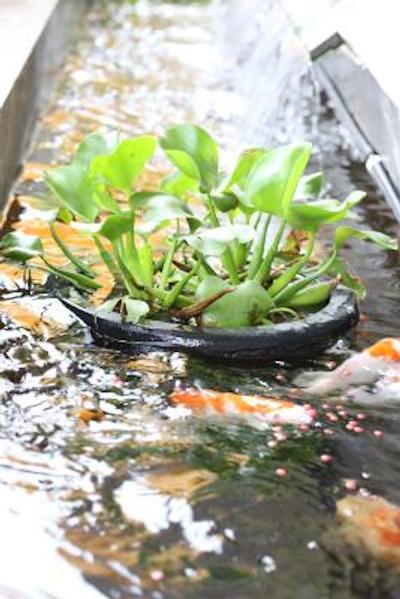 ف هتل جاکارتا