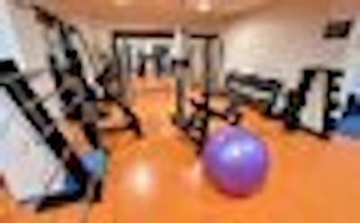 کریستال پالاس