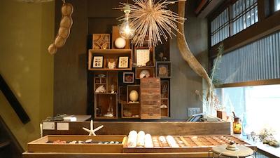 وساجینندکو