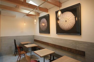 وساجینندکو