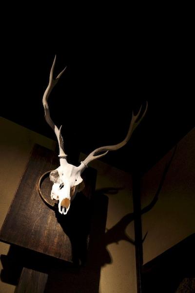 وساجینندکو