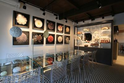 وساجینندکو