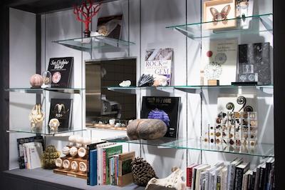 وساجینندکو