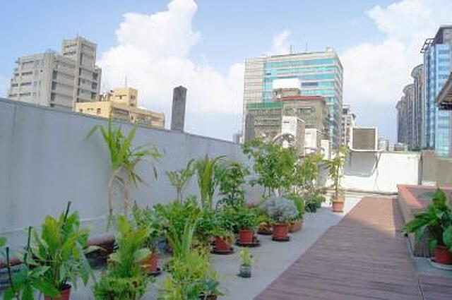 استار هستل تیپی مین استیشن
