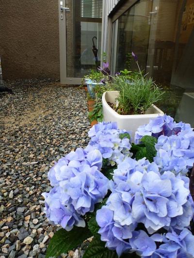 اینسید بوسان هستل