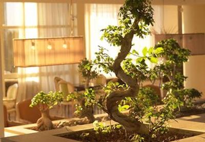 پارکلان ا لوکسوری کالکشن ریزرت اند اسپا لیماسل