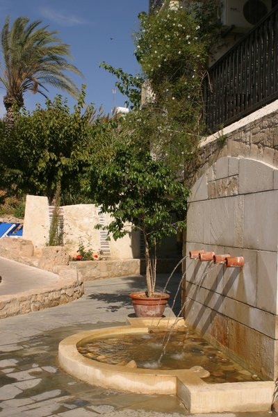 باسیلیکا هلید ریزرت