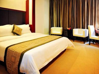 شنزهن هیگرت بوسینز هتل