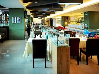 شنزهن هیگرت بوسینز هتل