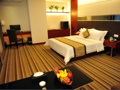 شنزهن هیگرت بوسینز هتل