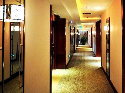 شنزهن هیگرت بوسینز هتل