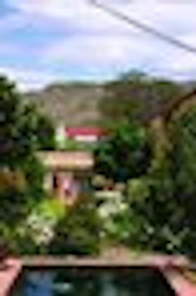 منتاگو کونتری