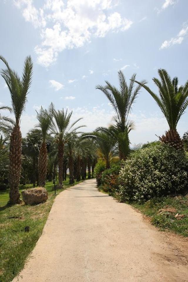 اسز کرال بیچ هتل