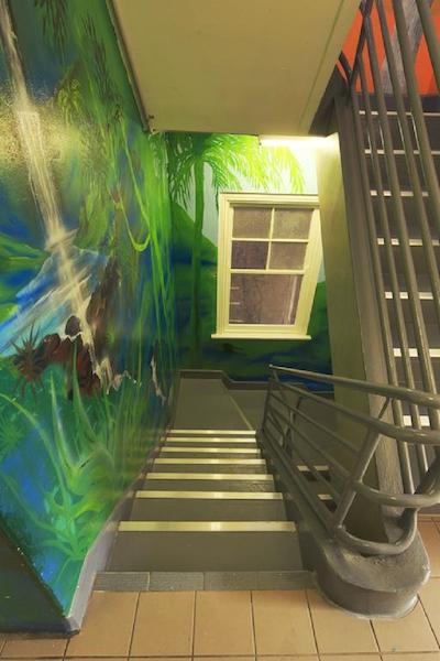 اسیدنی استار باکپاکرز