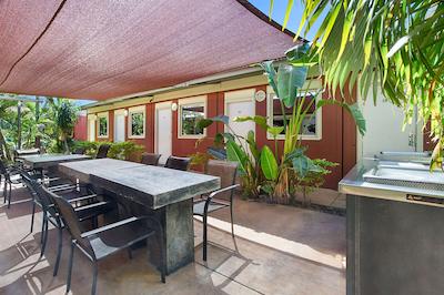 اکنو لج کارادا