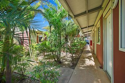 اکنو لج کارادا