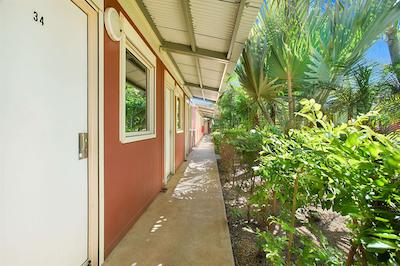 اکنو لج کارادا