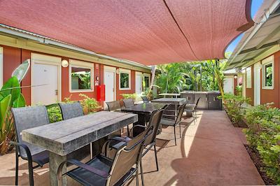 اکنو لج کارادا