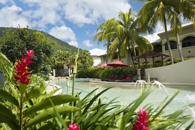 مانگو لاگون