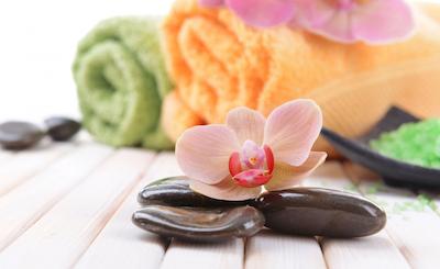 مانگو لاگون