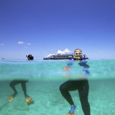 مانگو لاگون