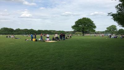 هلید این هامبورگ سیتی نرد