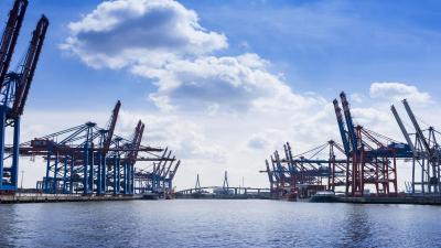 هلید این هامبورگ سیتی نرد